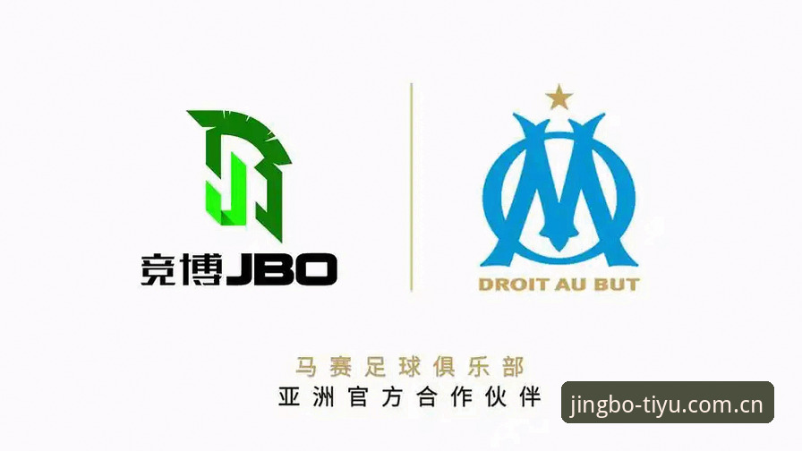 jbo竞博体育官网中国坐标与正版门户的对比：为何直接装要比绕路更稳？